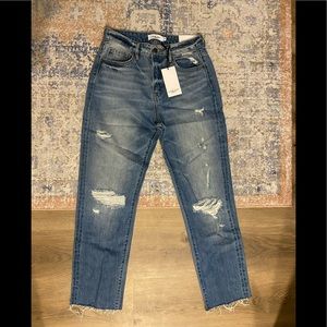 Carly Jean Los Angeles jeans 5